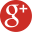 Google+ icon